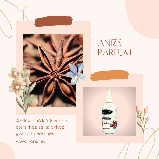 nizs - Anise Parfm 100 ml