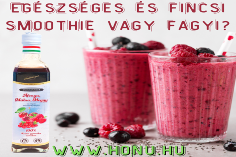 Egszsges Smoothie vagy Fagyi