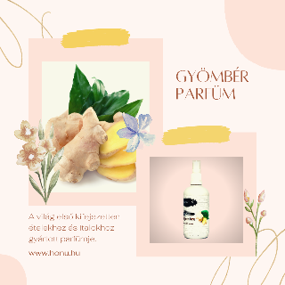 Gymbr - Ginger Parfm 100 ml